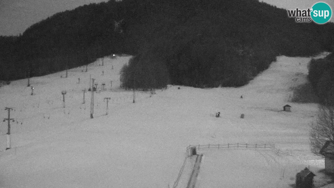 Webcam Kranjska Gora SKI – panoramica Piste centrali