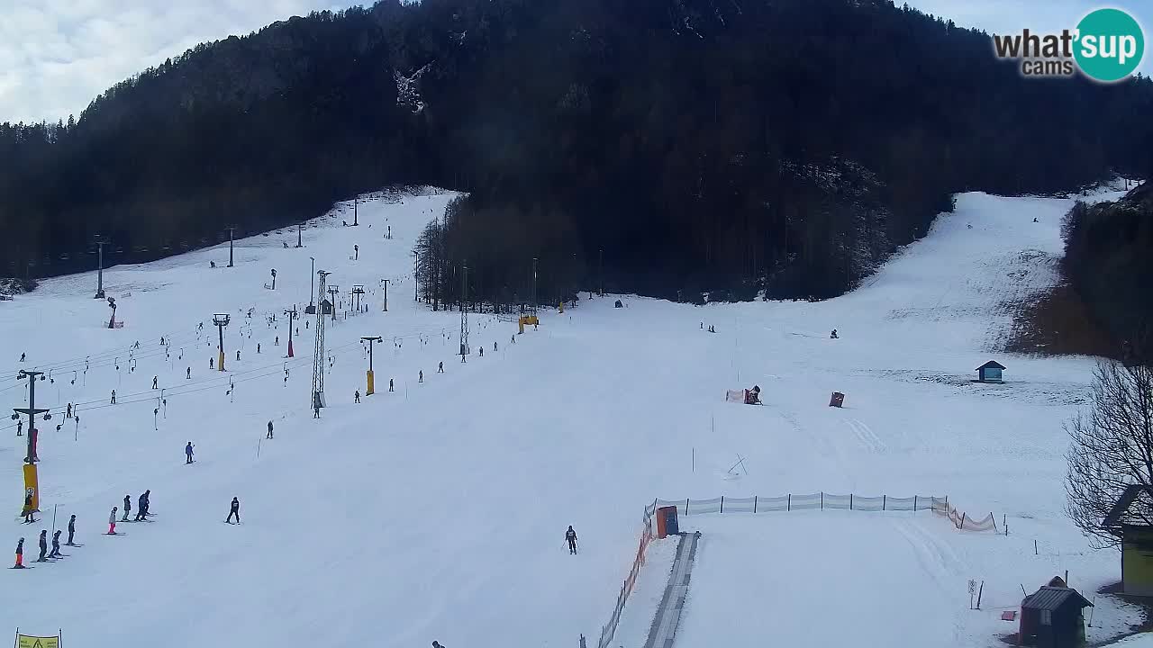 Webcam Kranjska Gora SKI – panoramica Piste centrali