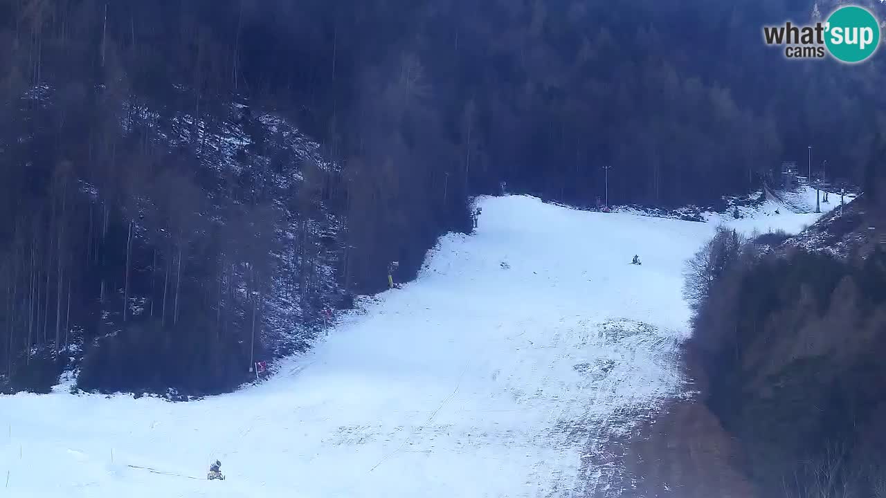 Webcam Kranjska Gora SKI – panoramica Piste centrali