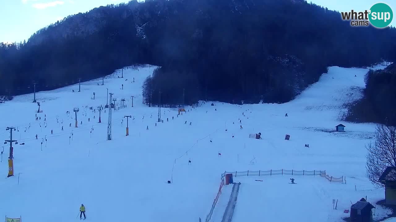 Webcam Kranjska Gora SKI – panoramica Piste centrali