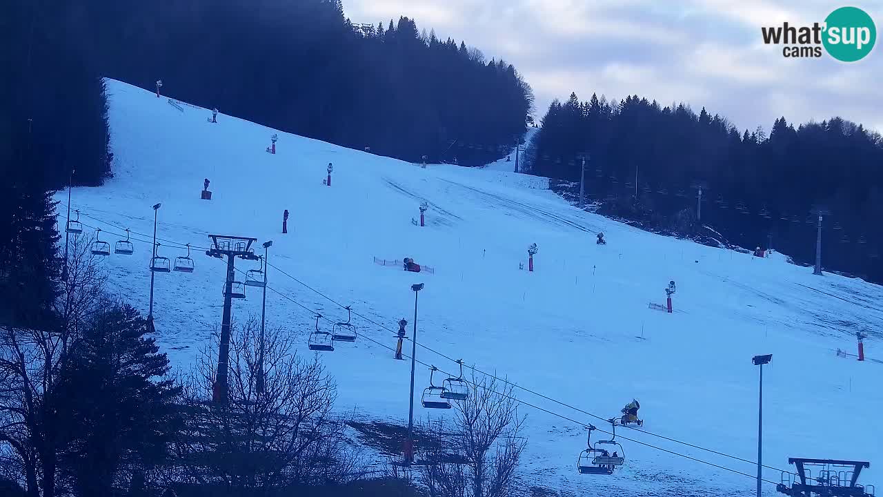 Webcam Kranjska Gora SKI – panoramica Piste centrali