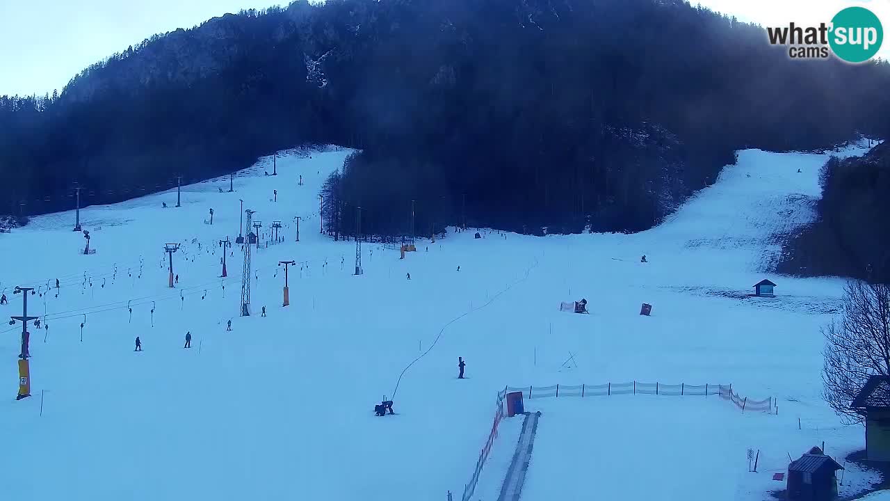 Webcam Kranjska Gora SKI – panoramica Piste centrali