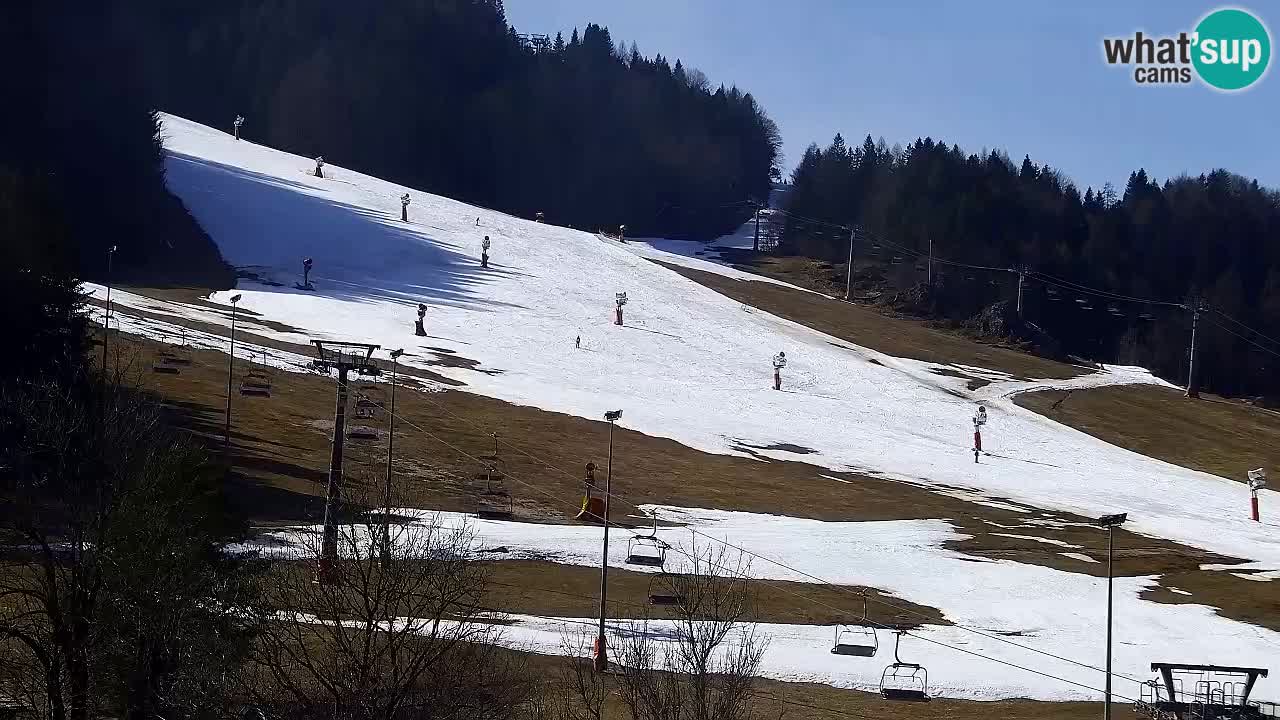 Webcam Ski resort Kranjska Gora – Slovenia