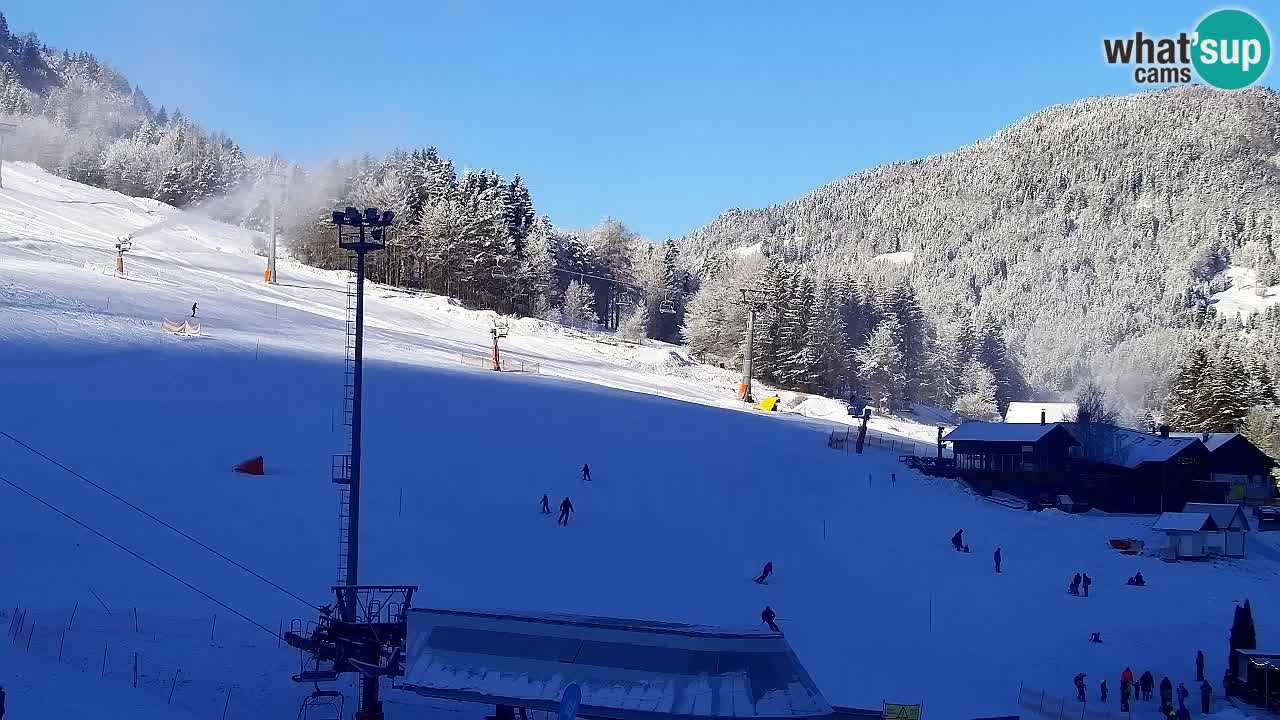 Webcam Ski resort Kranjska Gora – Slovenia