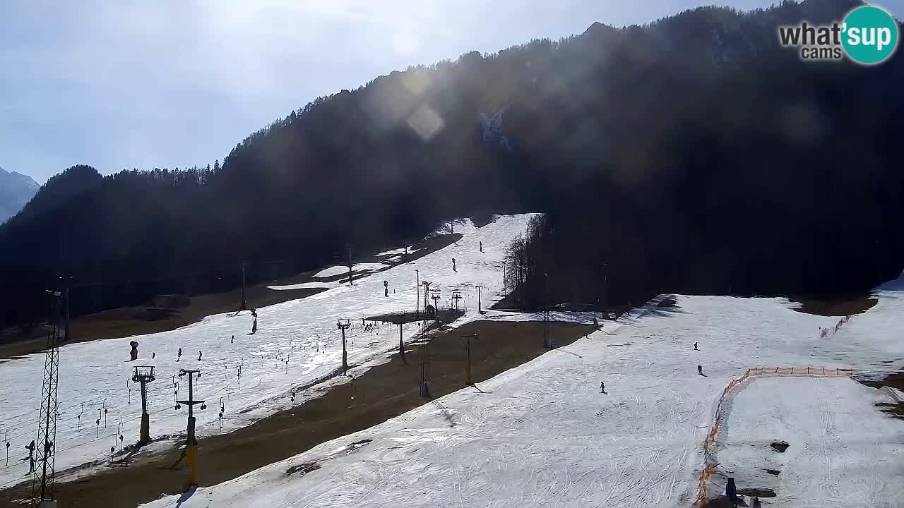 Webcam Estación de esquí Kranjska Gora – Eslovenia