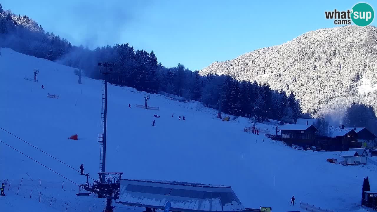 Webcam Station de ski Kranjska Gora – Slovénie