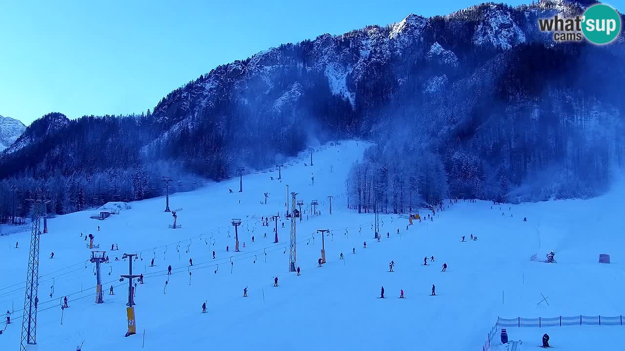 Webcam Estación de esquí Kranjska Gora – Eslovenia