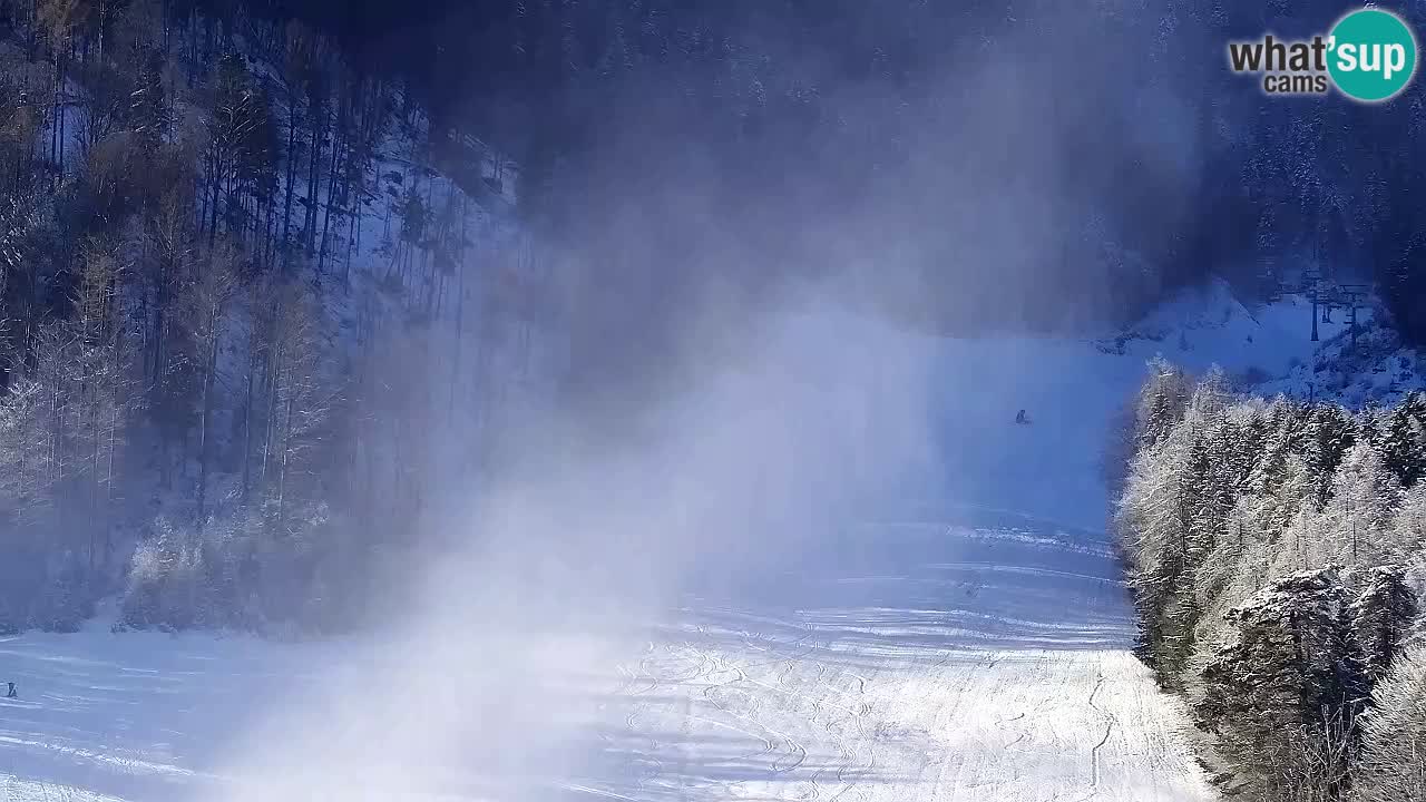 Webcam Station de ski Kranjska Gora – Slovénie