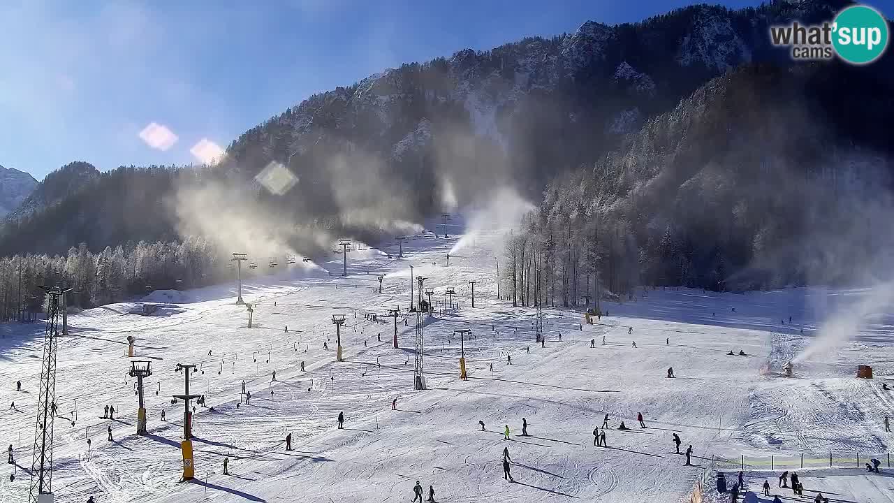 Webcam Ski resort Kranjska Gora – Slovenia