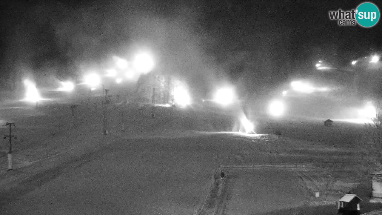 Webcam Kranjska Gora SKI resort | Bech, Kekec, Mojca ski