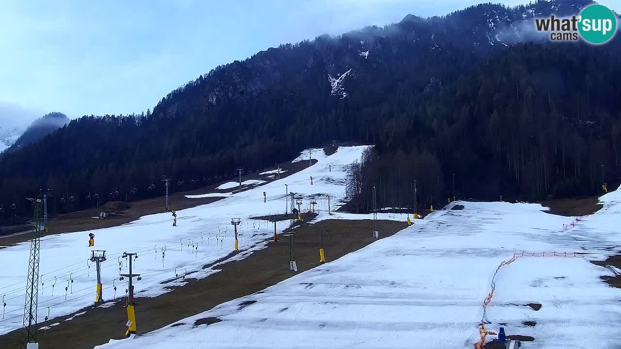 Webcam Kranjska Gora SKI resort | Bech, Kekec, Mojca ski