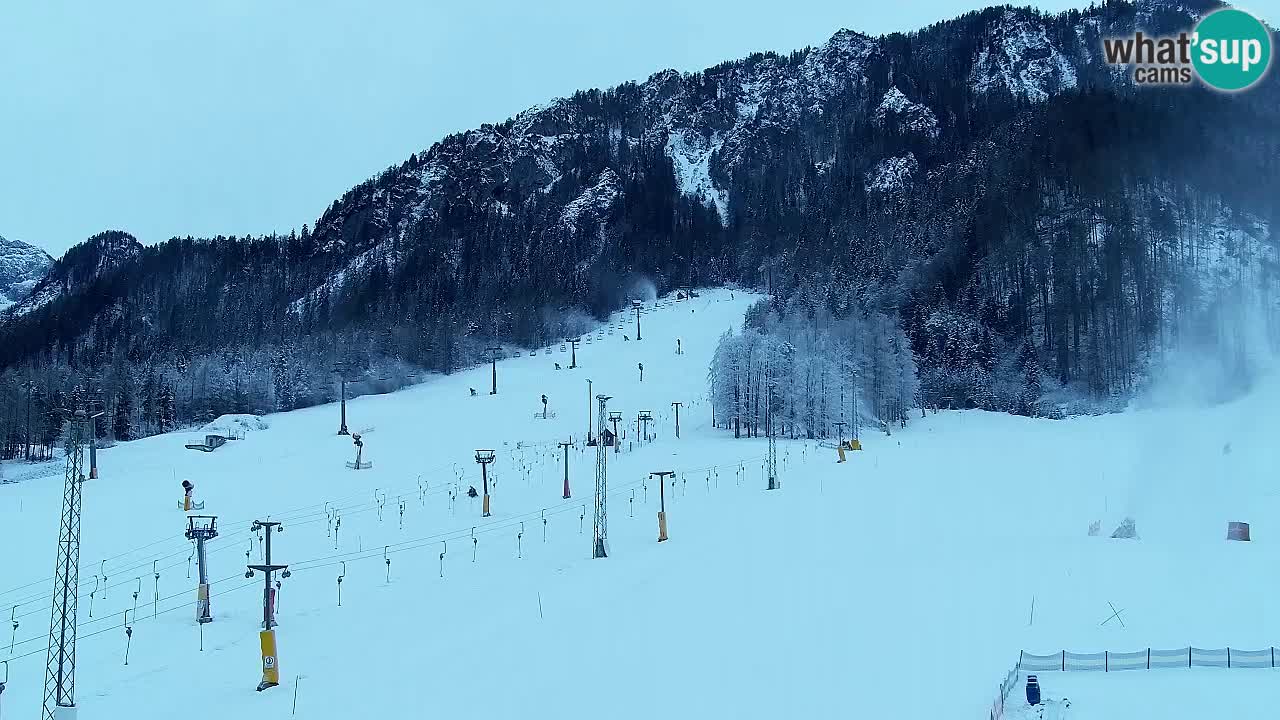 Webcam Kranjska Gora SKI – panoramica Piste centrali