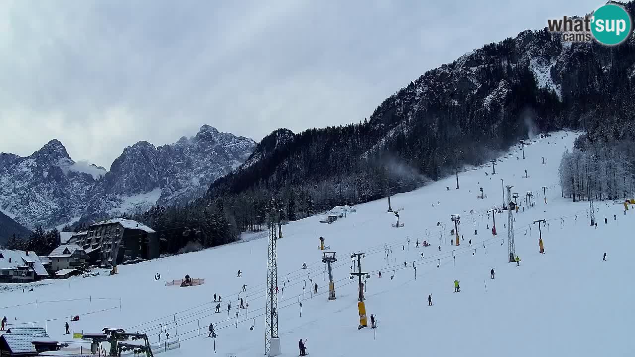 Webcam Kranjska Gora SKI – panoramica Piste centrali