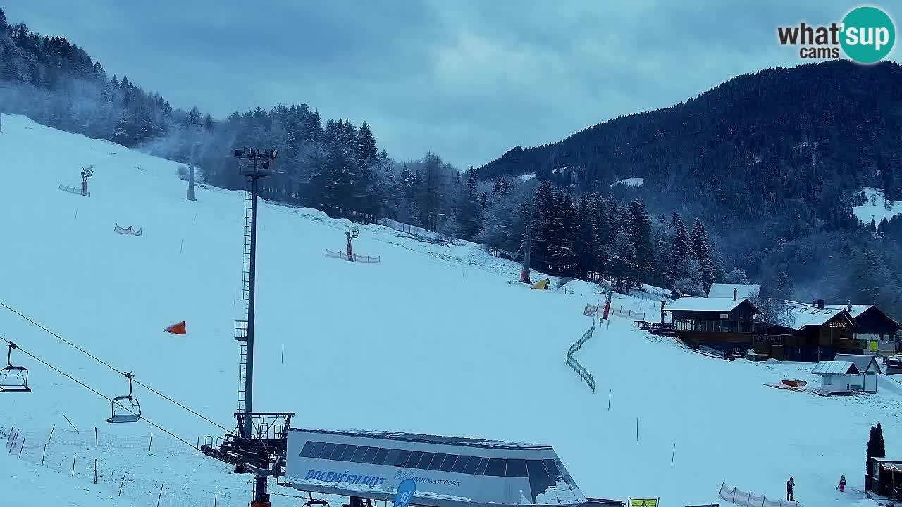 Webcam Kranjska Gora SKI – panoramica Piste centrali