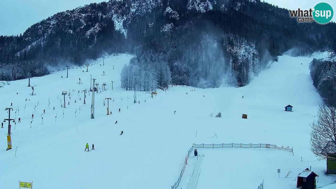 Webcam Kranjska Gora SKI – panoramica Piste centrali