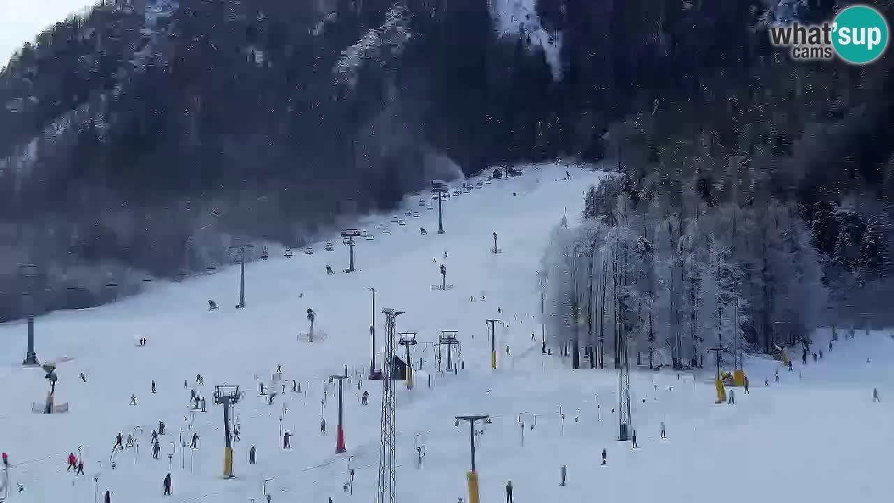 Webcam Skigebiet Kranjska Gora – Slowenien