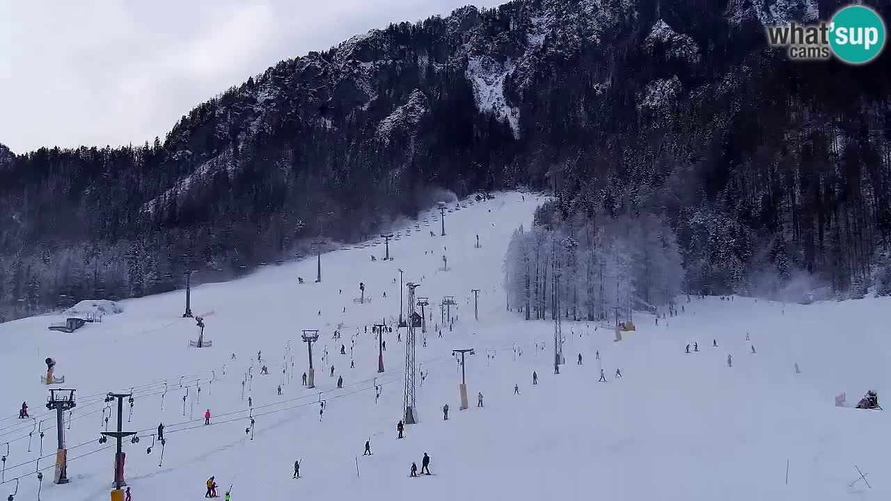 Webcam Kranjska Gora SKI – panoramica Piste centrali