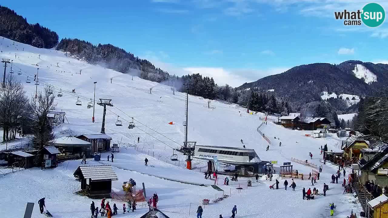 Webcam Kranjska Gora SKI – panoramica Piste centrali