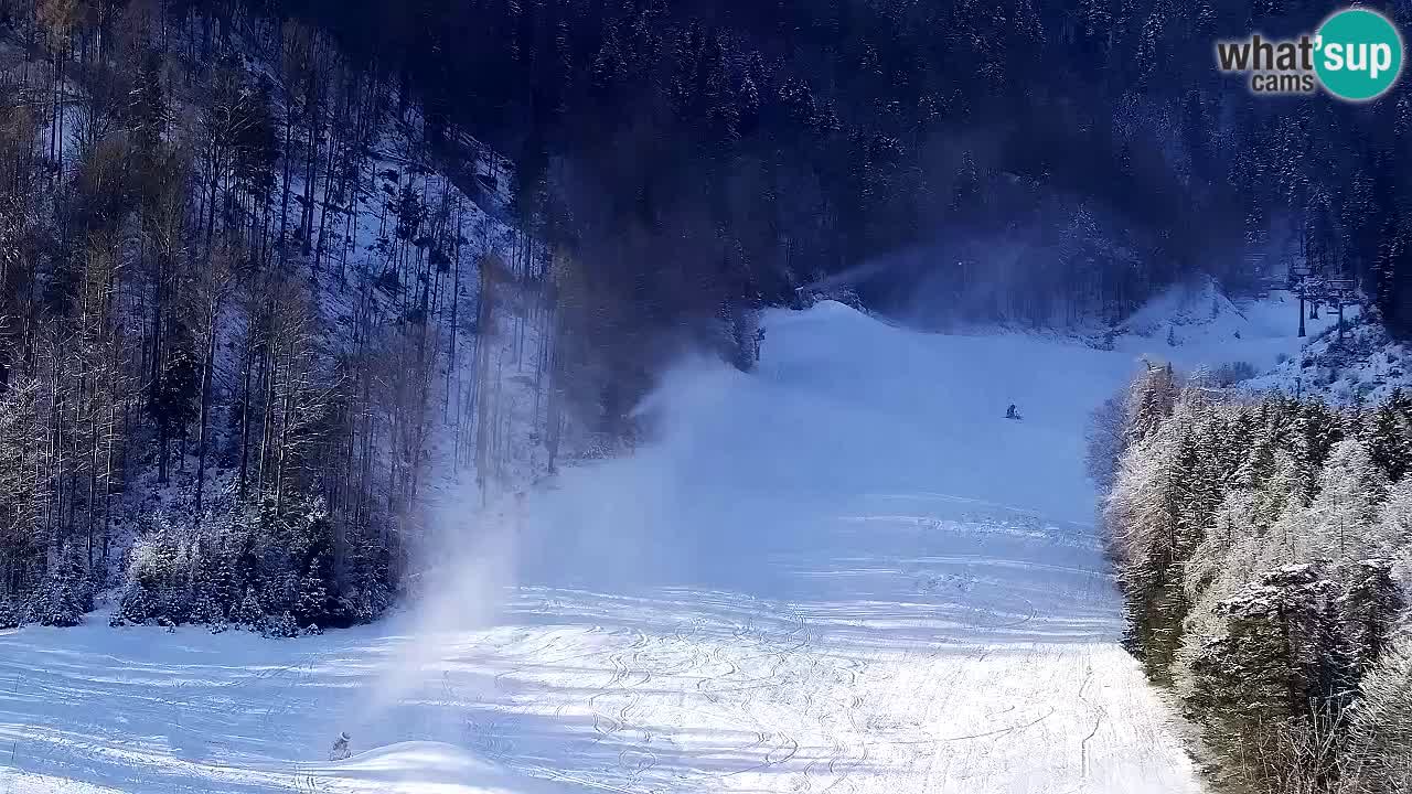 Webcam Kranjska Gora SKI – panoramica Piste centrali