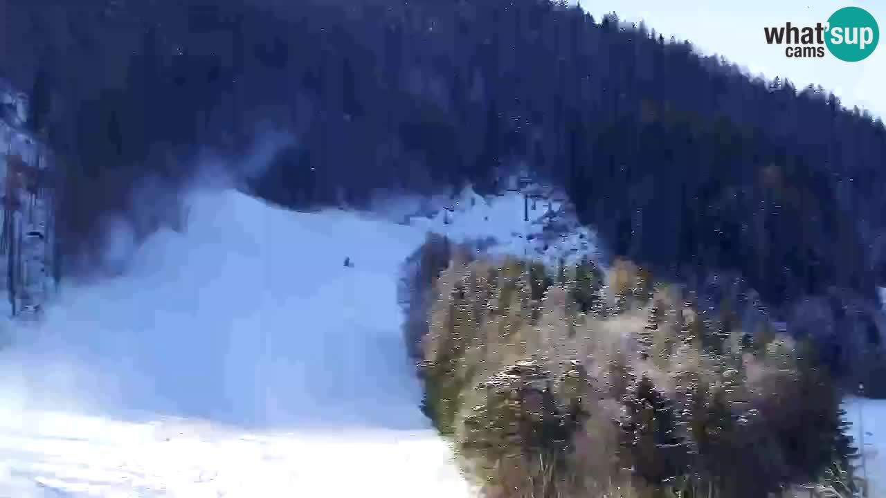 Webcam Kranjska Gora SKI – panoramica Piste centrali