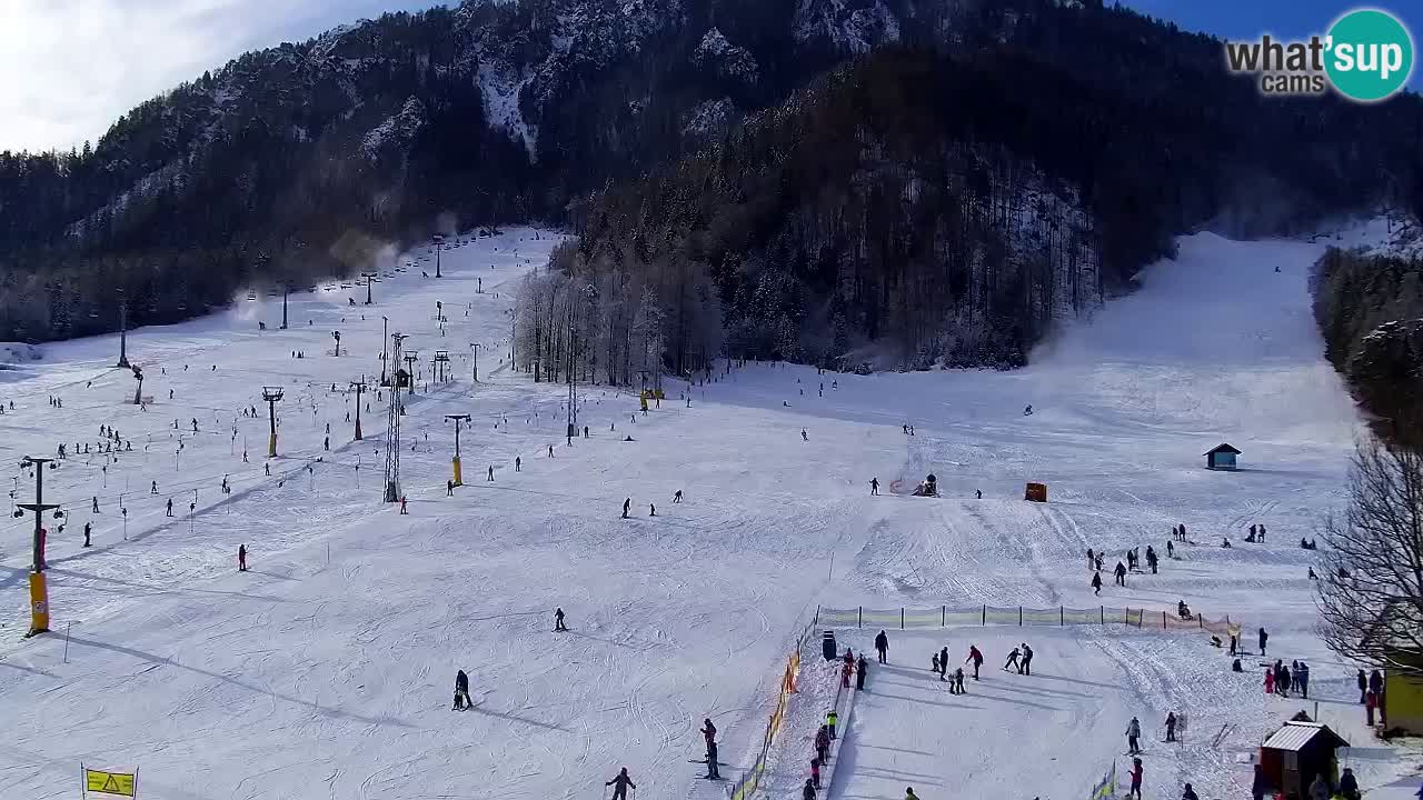 Webcam Skigebiet Kranjska Gora – Slowenien