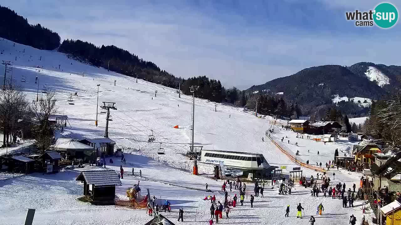 Webcam Kranjska Gora SKI resort | Bech, Kekec, Mojca ski