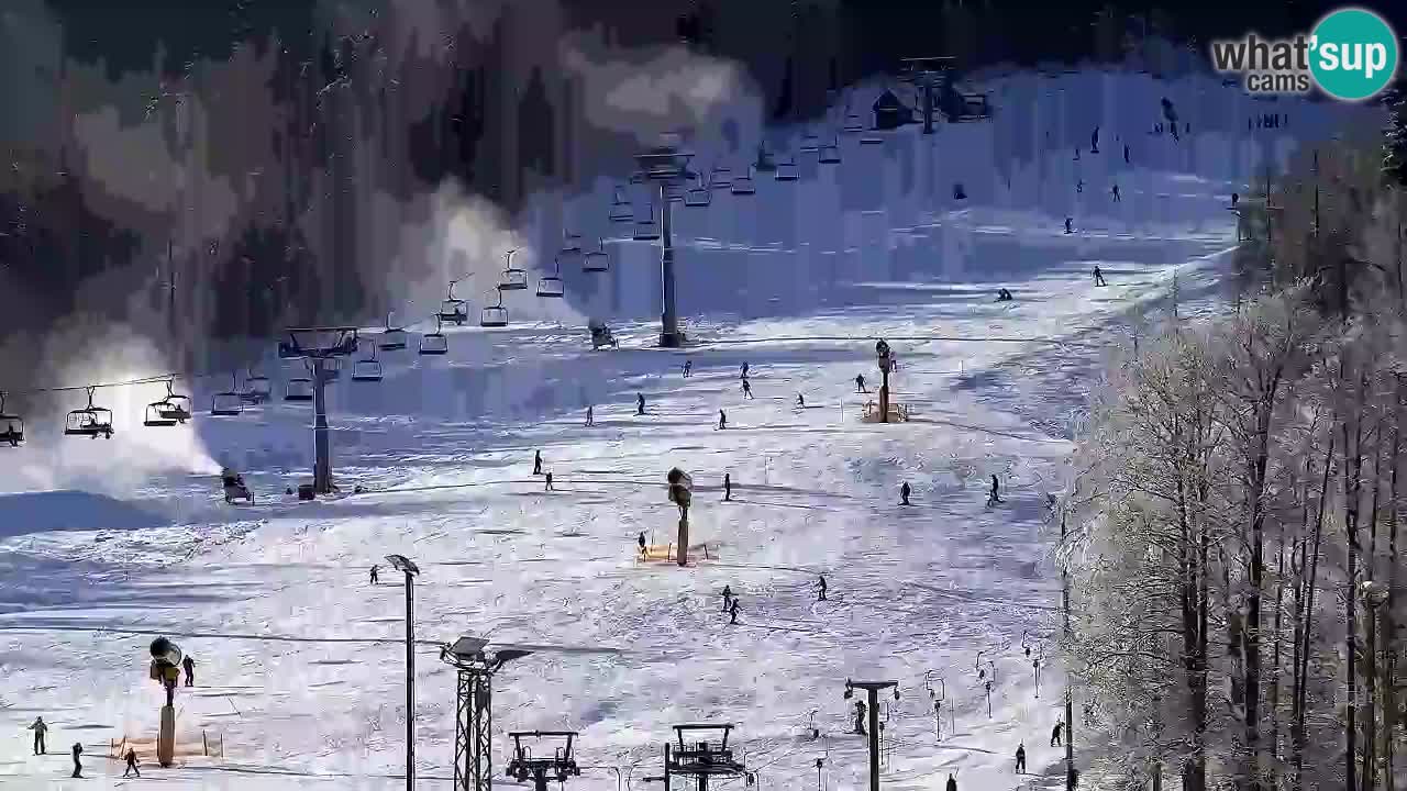 Webcam Kranjska Gora SKI – panoramica Piste centrali