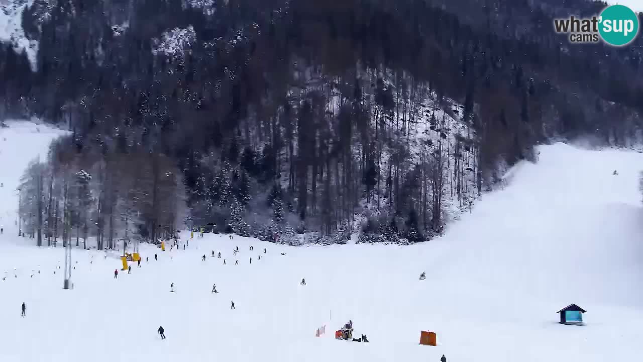 Webcam Kranjska Gora SKI – panoramica Piste centrali