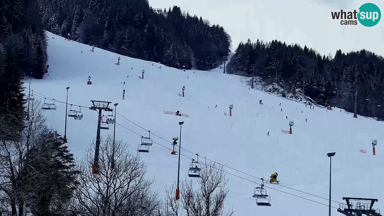 Webcam Station de ski Kranjska Gora – Slovénie