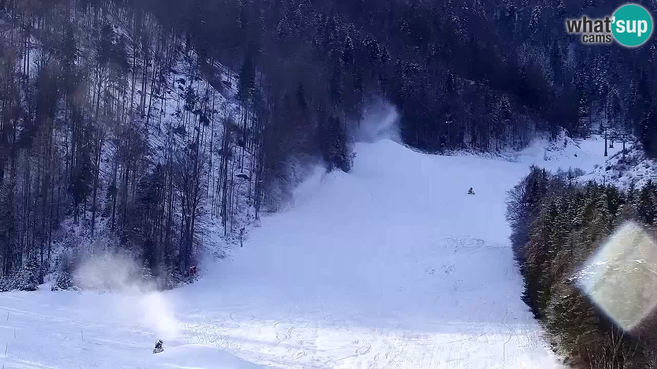 Webcam Kranjska Gora SKI – panoramica Piste centrali