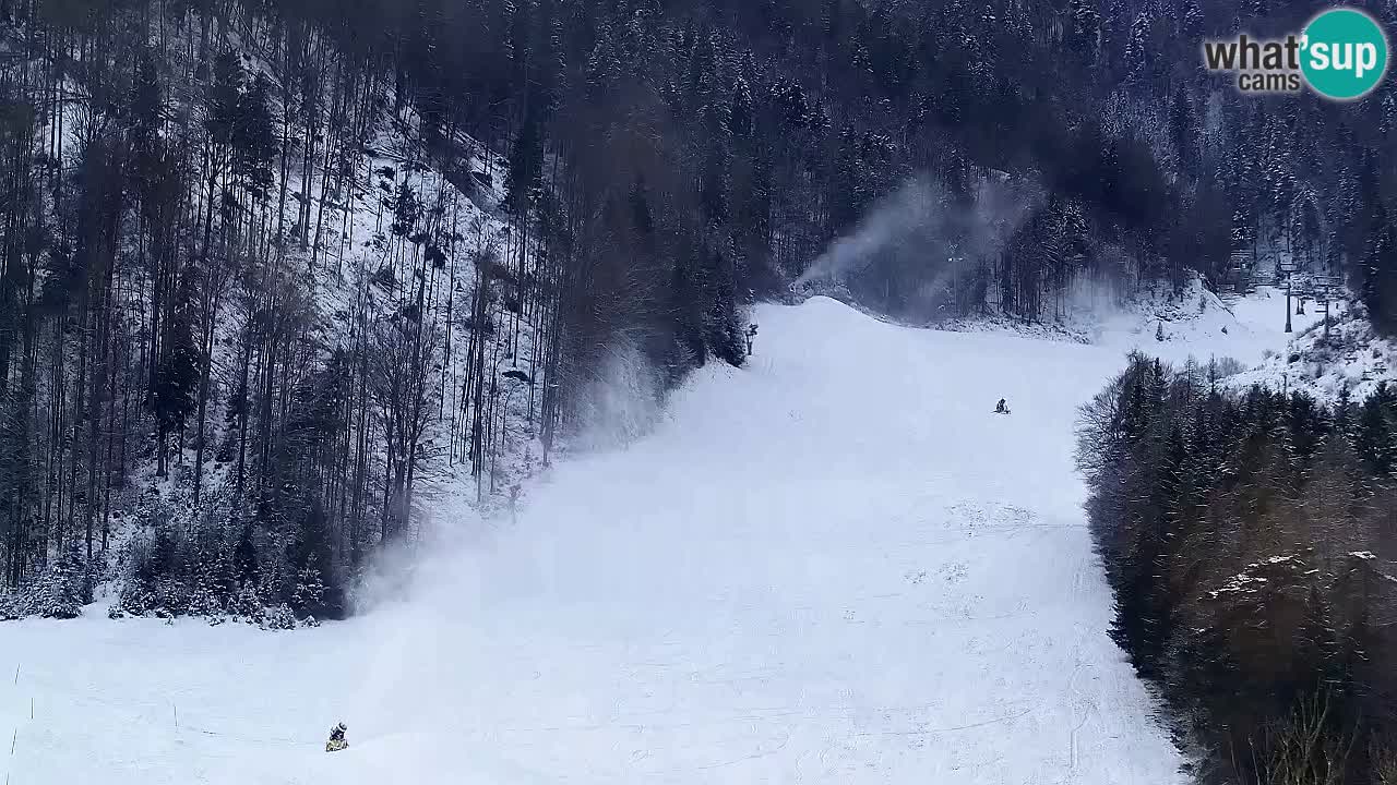 Webcam Kranjska Gora SKI resort | Bech, Kekec, Mojca ski