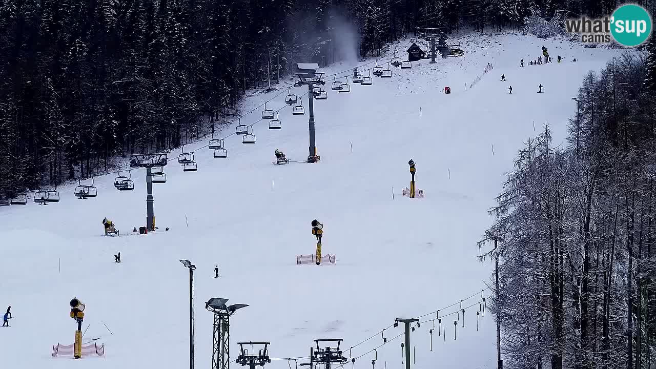 Webcam Kranjska Gora SKI – panoramica Piste centrali