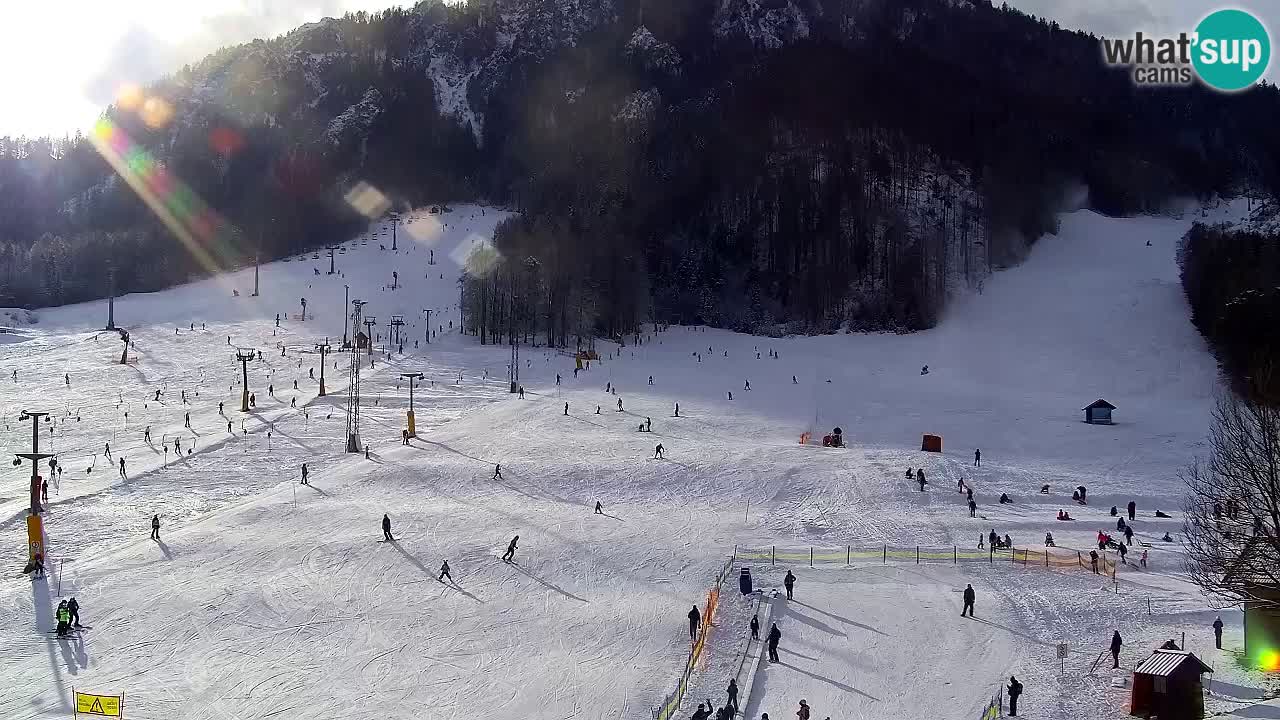 Webcam Kranjska Gora SKI – panoramica Piste centrali