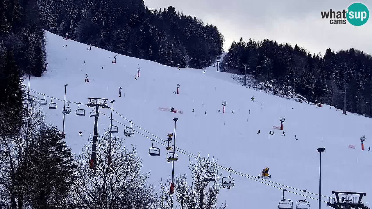 Webcam Skigebiet Kranjska Gora – Slowenien