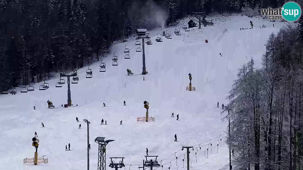 Webcam Kranjska Gora SKI – panoramica Piste centrali