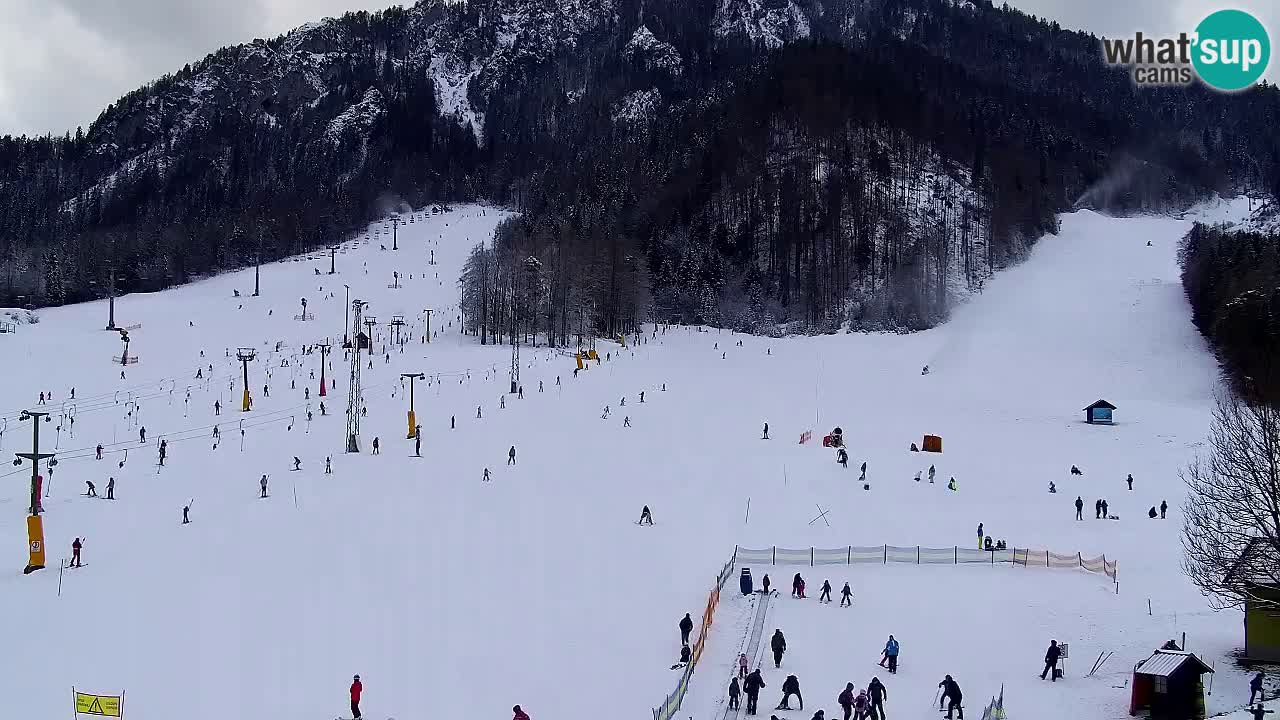 Webcam Kranjska Gora SKI – panoramica Piste centrali