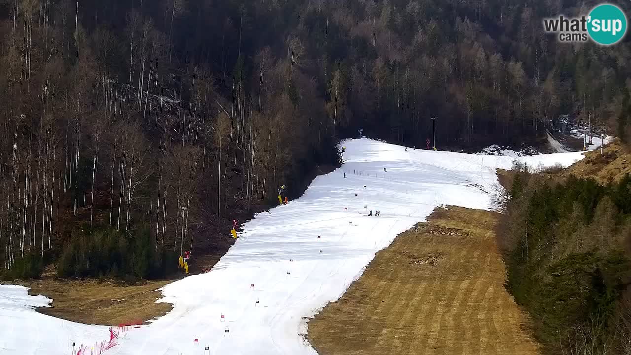 Webcam Estación de esquí Kranjska Gora – Eslovenia