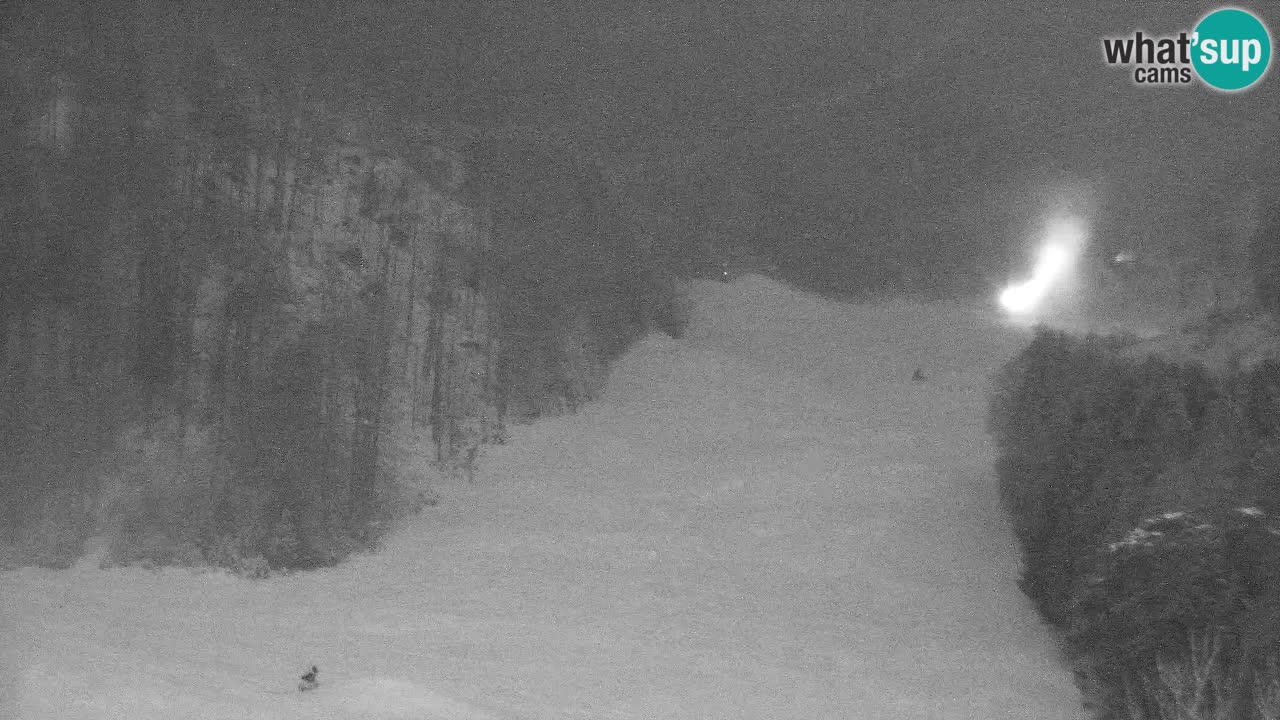 Webcam Kranjska Gora SKI – panoramica Piste centrali