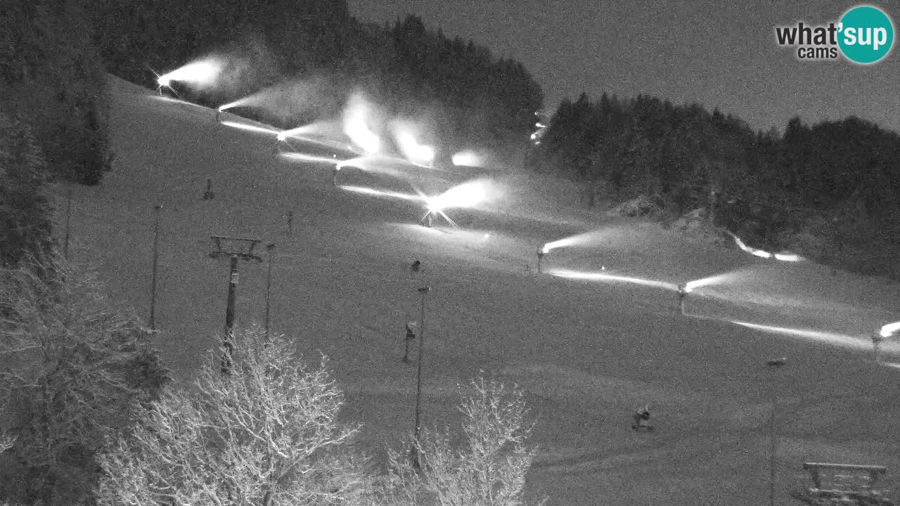 Webcam Skigebiet Kranjska Gora – Slowenien