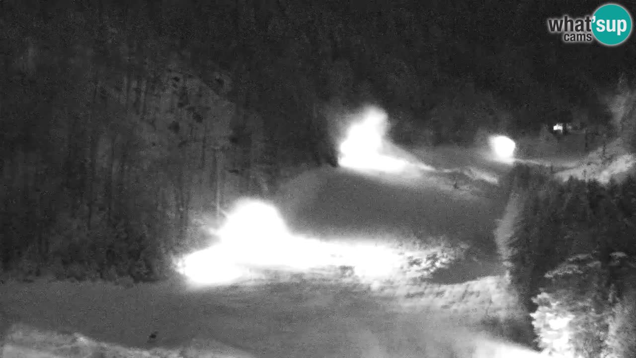 Webcam Kranjska Gora SKI resort | Bech, Kekec, Mojca ski