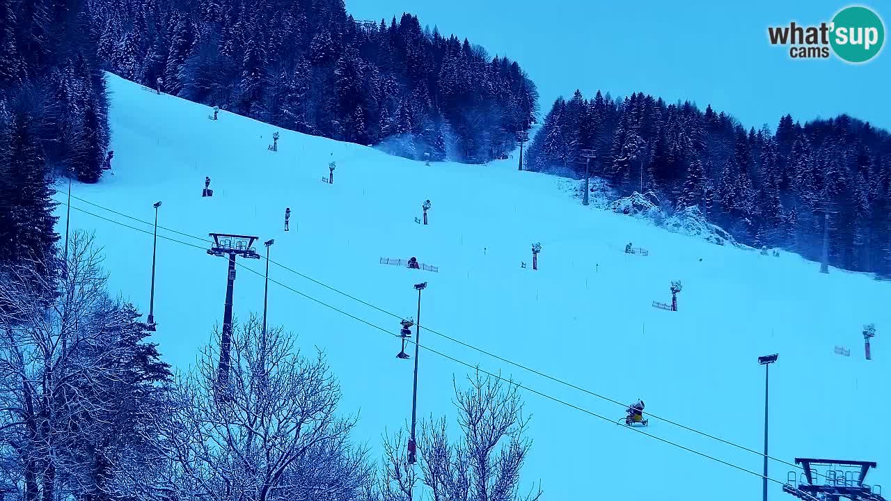 Webcam Kranjska Gora SKI resort | Bech, Kekec, Mojca ski