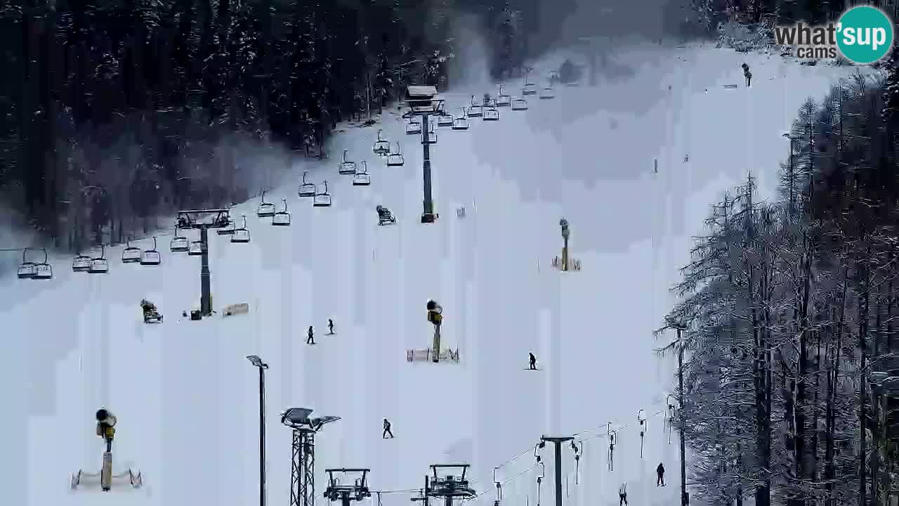 Webcam Station de ski Kranjska Gora – Slovénie