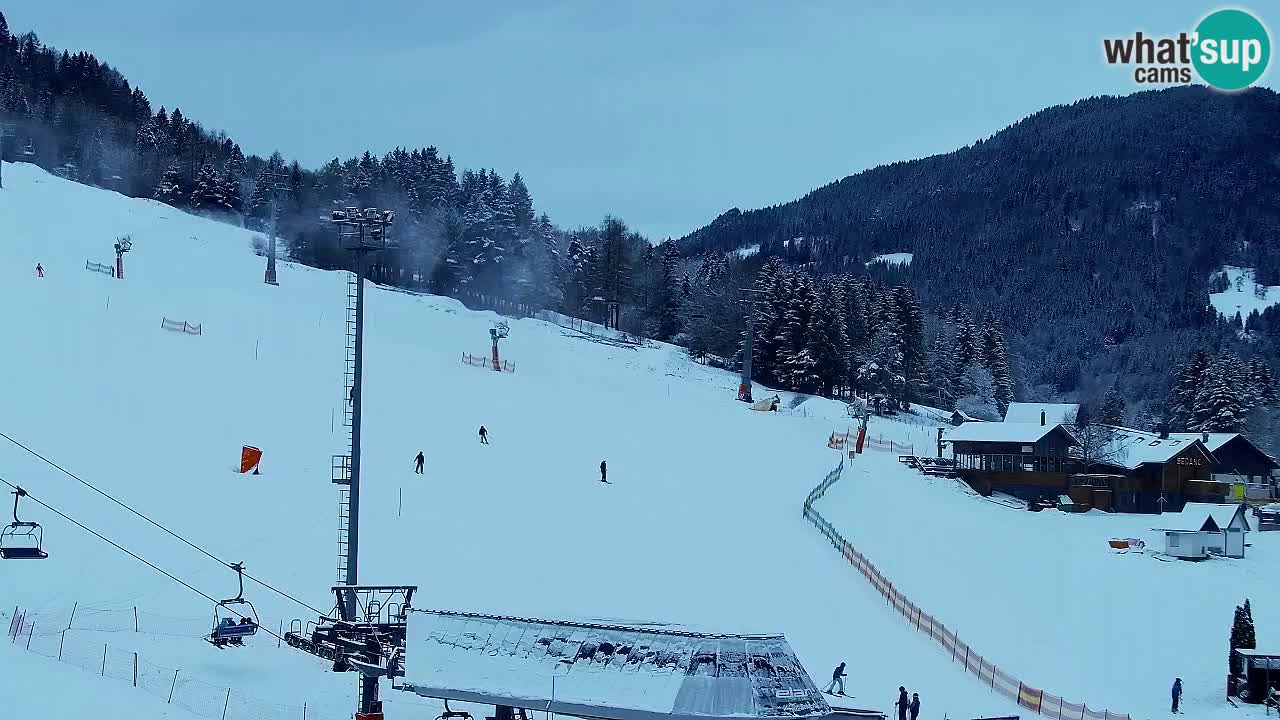 Webcam Kranjska Gora SKI – panoramica Piste centrali