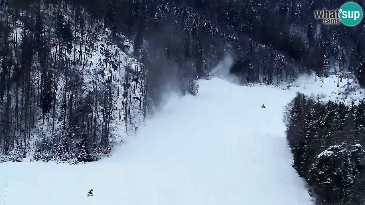 Webcam Kranjska Gora SKI – panoramica Piste centrali