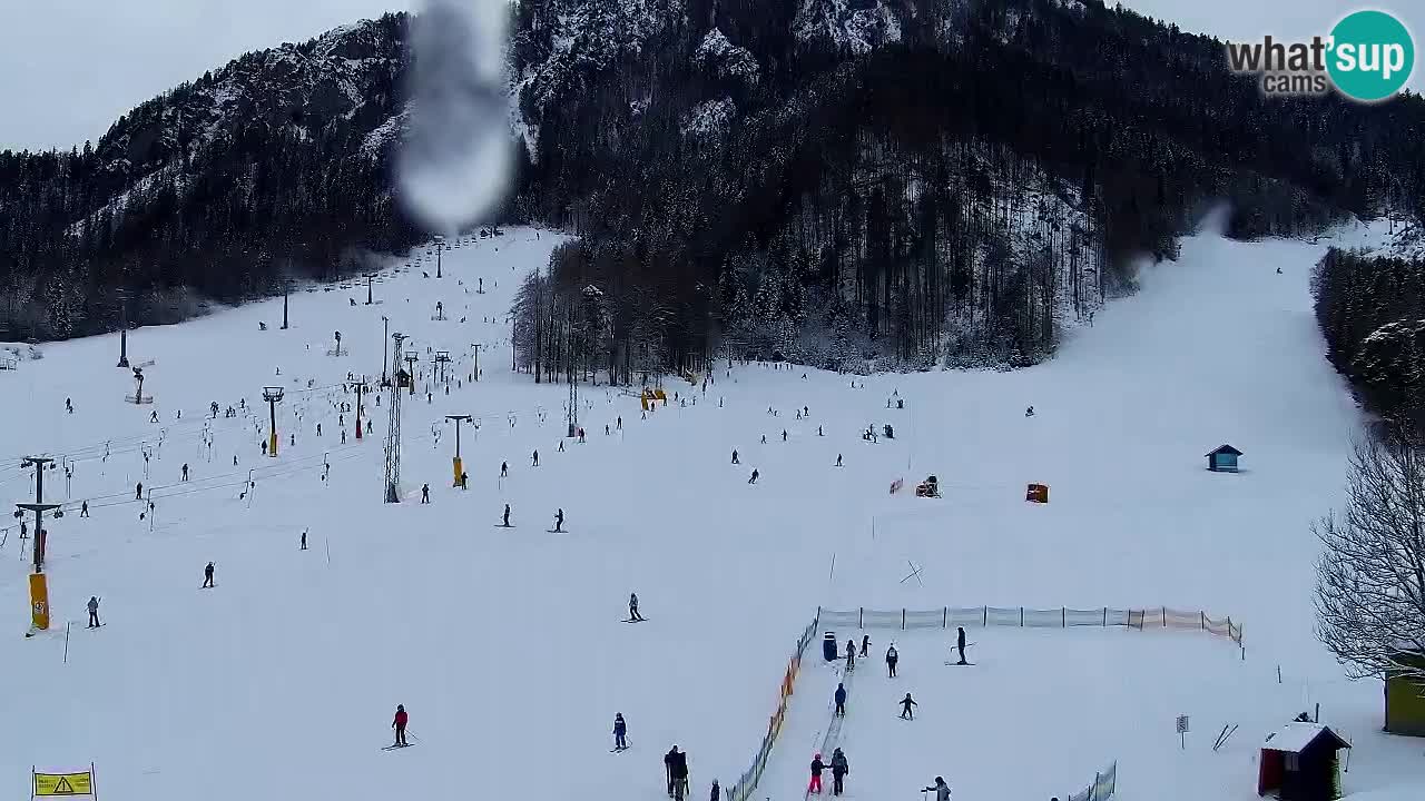 Webcam Kranjska Gora SKI resort | Bech, Kekec, Mojca ski