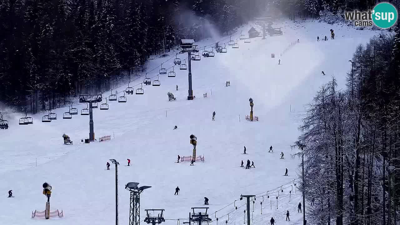 Webcam Kranjska Gora SKI resort | Bech, Kekec, Mojca ski