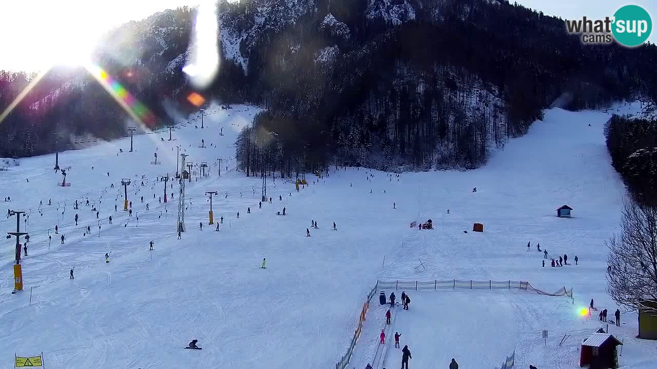 Webcam Kranjska Gora SKI – panoramica Piste centrali