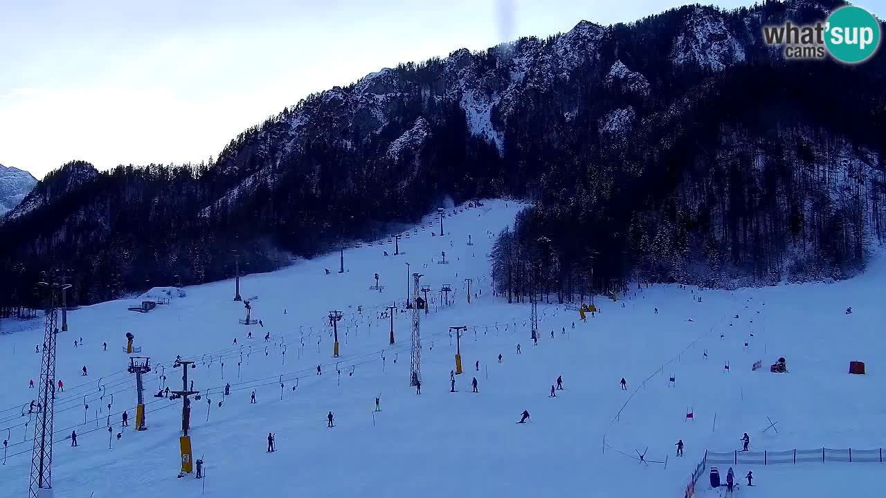 Webcam Station de ski Kranjska Gora – Slovénie