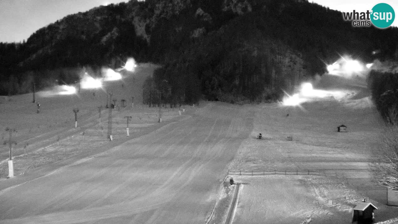 Webcam Kranjska Gora SKI – panoramica Piste centrali