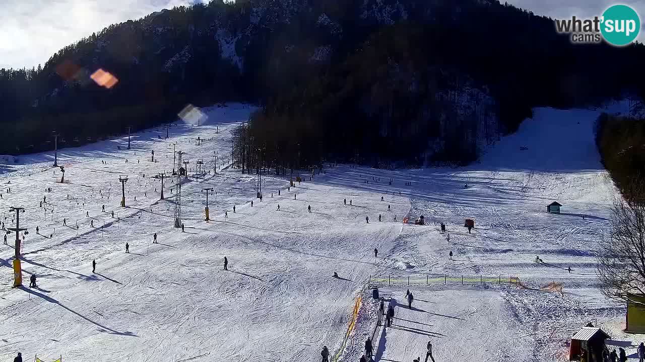 Webcam Kranjska Gora SKI resort | Bech, Kekec, Mojca ski